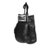 Everlast Autograph Gloves