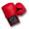 Rival Autograph Boxing Gloves