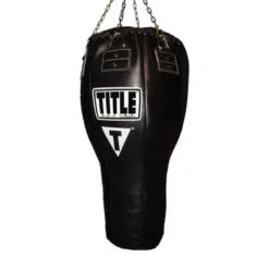 TITLE Big Bang Heavy Bag