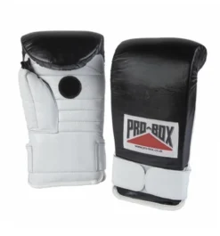 Probox Coachspar Boxing Gloves