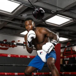 TITLE Spider Bag -Boxing Equipment Store spider 5