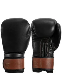 TITLE Boxing Honorary Training Gloves