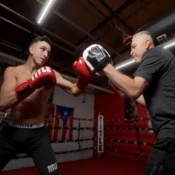 TITLE Cobra Leather Punch Mitts - White/Black -Boxing Equipment Store title cobra leather punch mitts 4