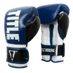 TITLE Enforcer Heavy Bag Gloves