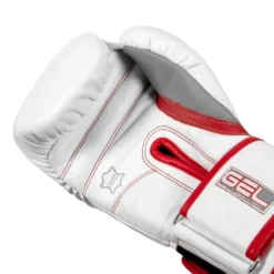 TITLE GEL Special Edition Bag Gloves -Boxing Equipment Store title gel special edition bag gloves 3