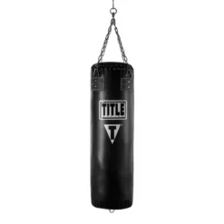 TITLE Traditional Heavy Punchbag