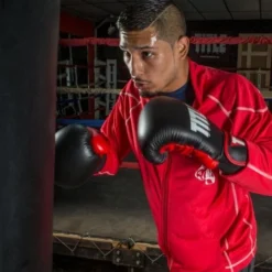 TITLE Dynamic Strike Heavy Bag Gloves -Boxing Equipment Store xdbg bk rd 2 1 1