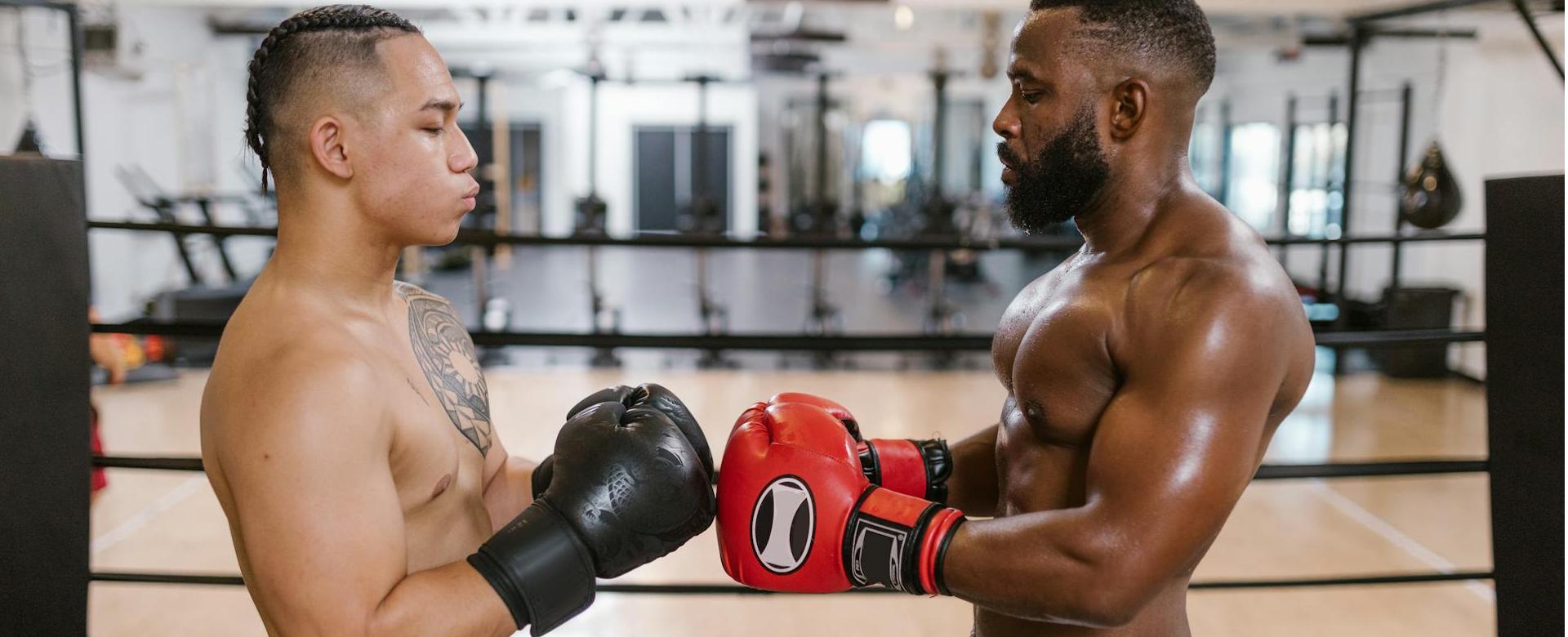 Boxing Equipment Store -Boxing Equipment Store pexels rdne 8612582